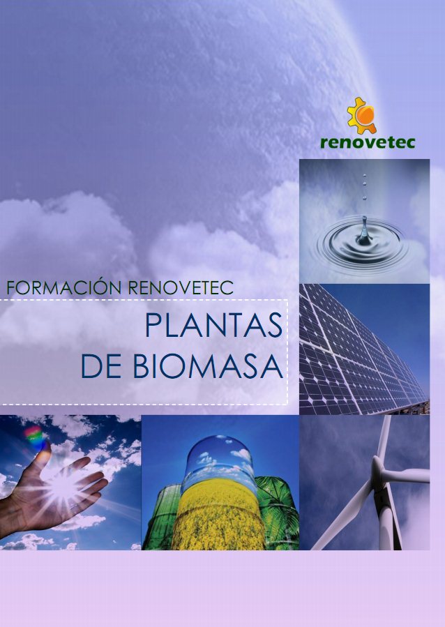 Curso tecnico general de plantas de biomasa