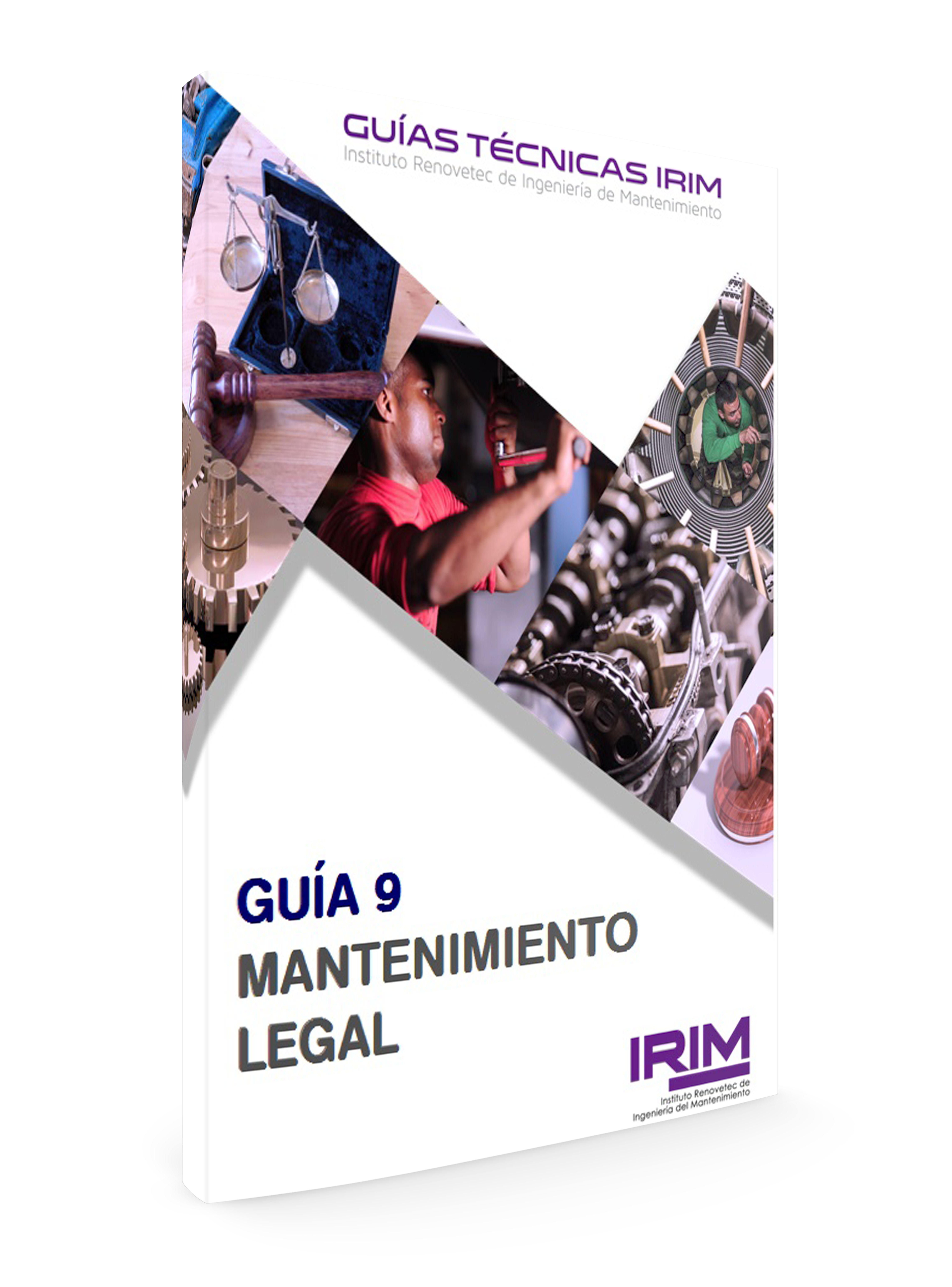 GUIA 9 IRIM: MATENIMIENTO LEGAL